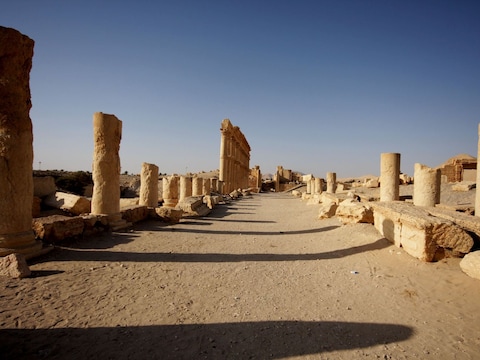 Palmyra