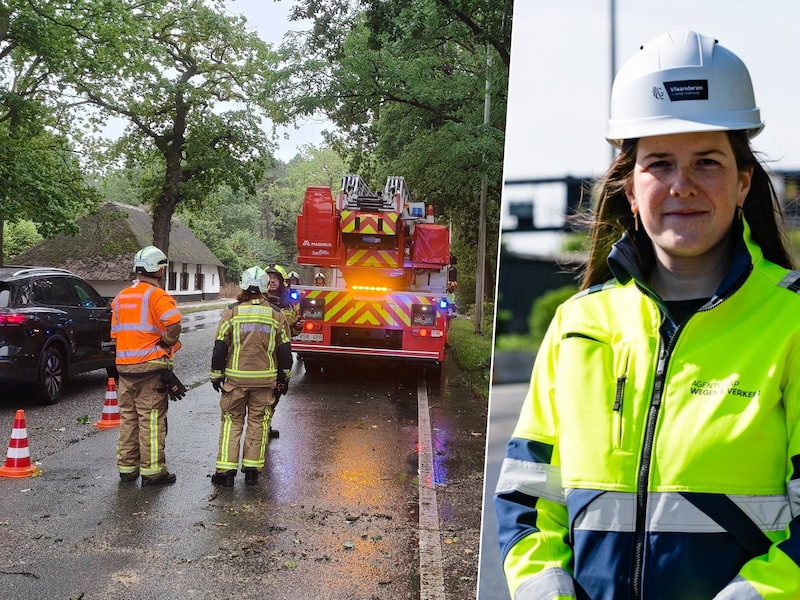 Brandweer Zone Rand zaagde de afgebroken tak in stukken en ruimde die op. De politie zette de omgeving af en regelde het verkeer. Beelden van het heraanleggen van het asfalt op de E313. En portret van woordvoerder wegen en verkeer Stefanie Nagels.