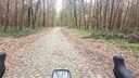 De Sint-Jacobsdreef in Sint-Niklaas