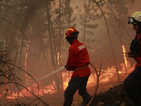 Brandweermannen proberen het vuur onder controle te krijgen in centraal Portugal.