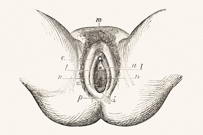 illustratieafbeelding