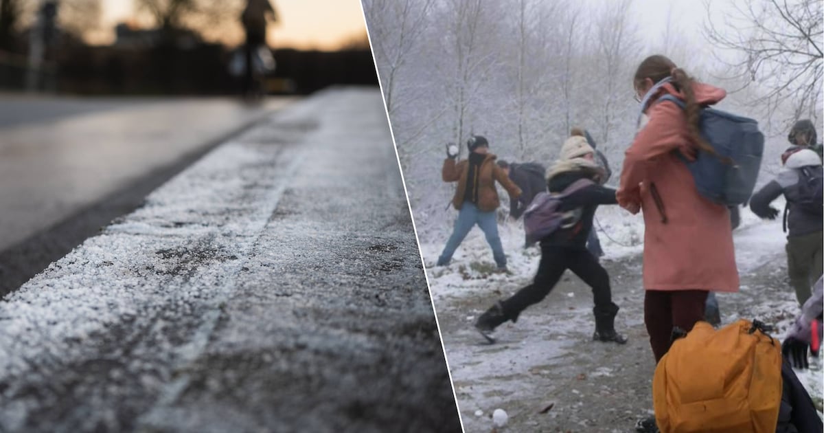 Code geel vanwege gladheid in heel België - Tot en met weekend nog sneeuwpret in Hoge Venen