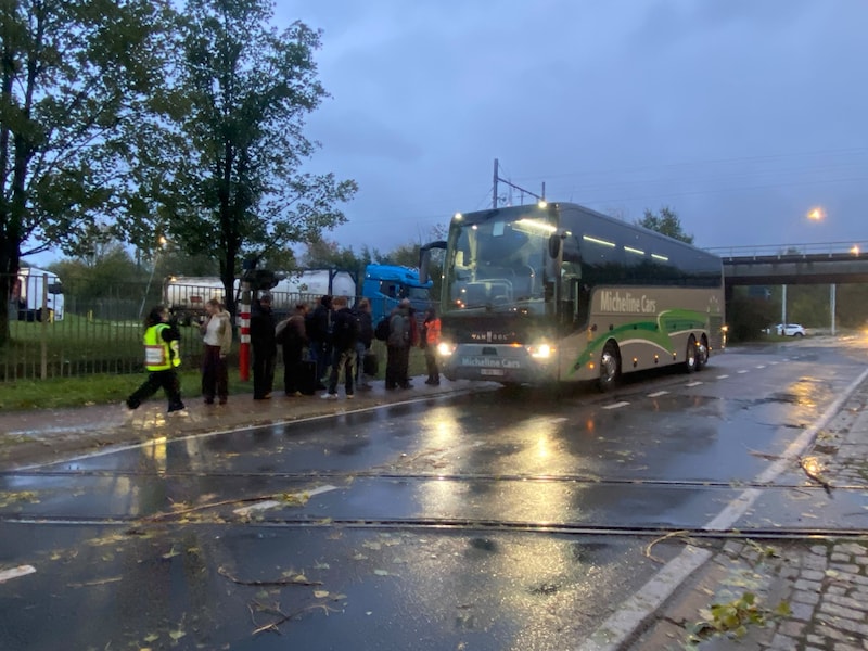 De evacuatie van een trein in Ruisbroek nadat een boom op de bovenleiding viel.