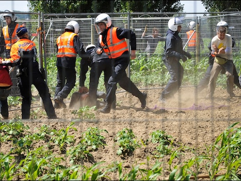 De elf werden op 24 september bij verzet veroordeeld voor de "grote aardappelruil" eind mei 2011 op een ggo-proefveld in Wetteren.