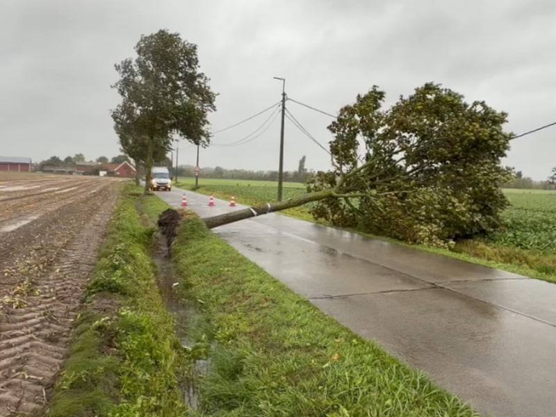 Een boom waaide om langs de Lendeleedsestraat.