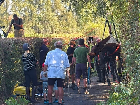 Na anderhalf uur kon het dier met een hefkraan uit de gracht worden gehaald.