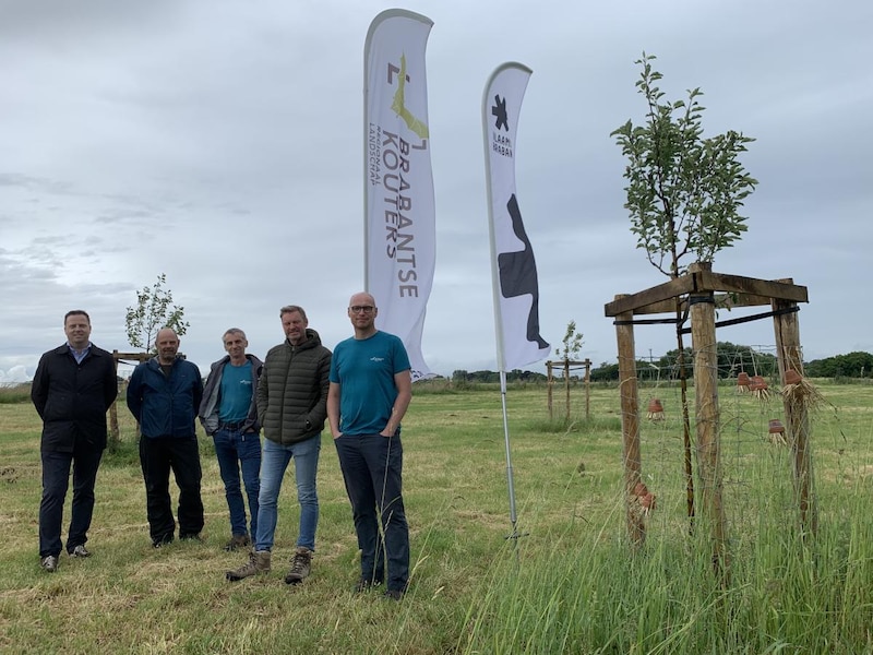 Erosiepoel in Merchtem krijgt groenere look: “Goed voor waterbeheer én biodiversiteit”