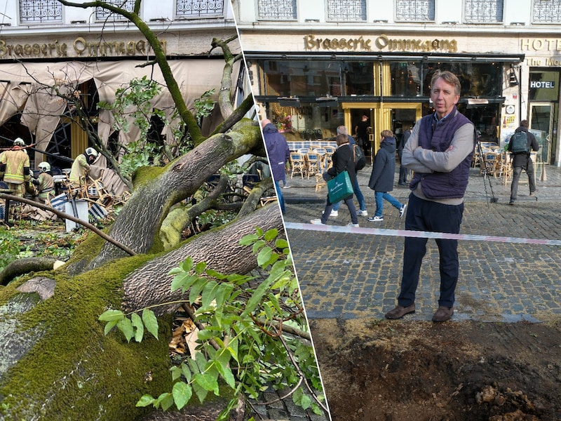 Medewerker Marc Lefrancq (foto rechts) zag vrijdag een zware boom vallen op het terras van brasserie Ommegang.