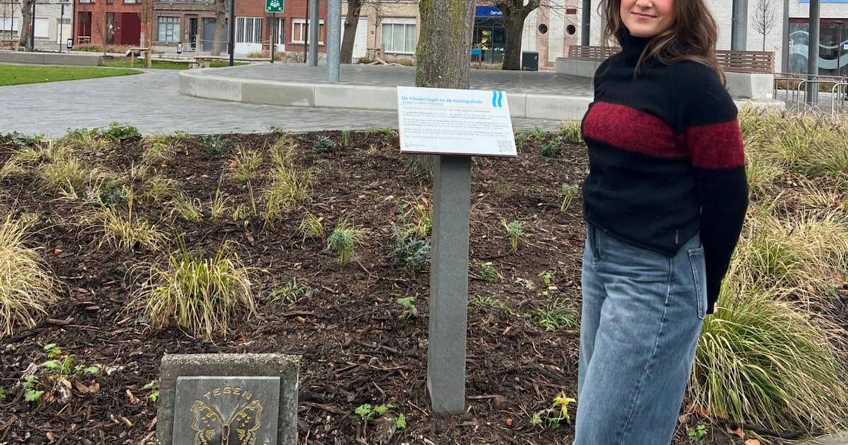 “Vrede is niet vanzelfsprekend”: Vlindertegel krijgt opnieuw een plek op de Grote Markt