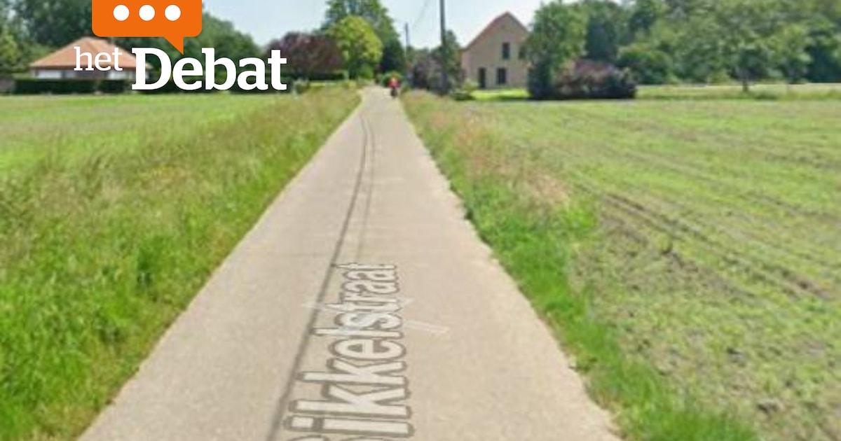 “Blikjes in de hagen en op straat”: op deze plekken in Putte mag er volgens jullie meer gecontroleer
