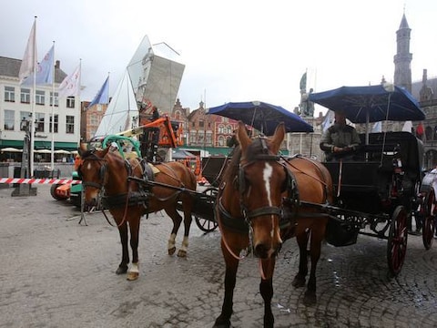 Paarden en koetsen vlakbij het spiegelkunstwerk op de Markt.