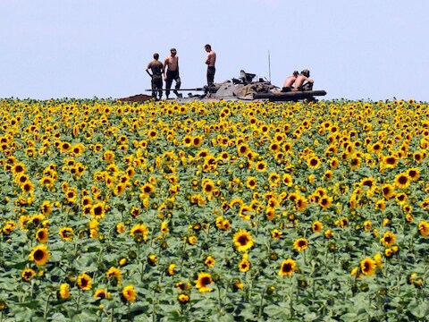 Oekraïense soldaten nemen een pauze tussen de zonnebloemen op 20 km van Donetsk.