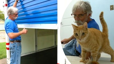 KIJK. Kat van buren verstopt zich in verhuiswagen en maakt reis van 3.180 kilometer en 25 dagen