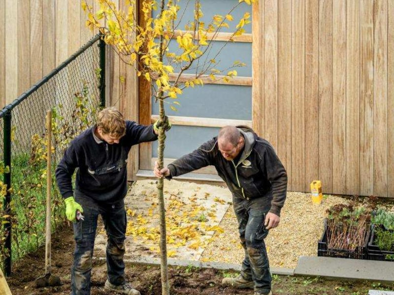 Samenaankoop van streekeigen plantgoed nu ook in West-Vlaamse Hart