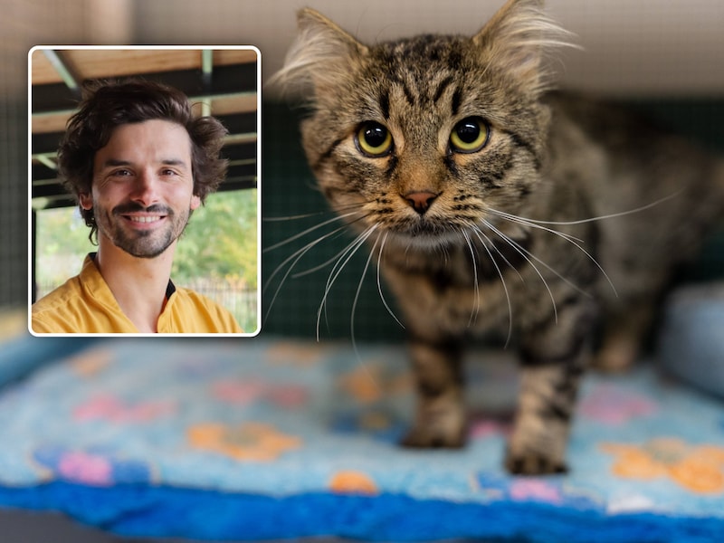 Schepen Lukas Schillebeeckx is blij dat er eindelijk een adoptiebeleid komt.