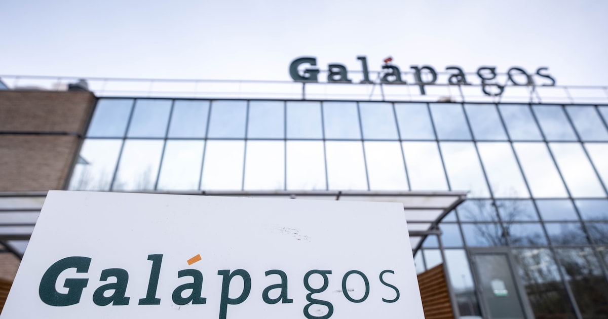 Galápagos schrapt celtherapietak: 365 jobs wereldwijd op de tocht, opnieuw zware klap in Mechelen