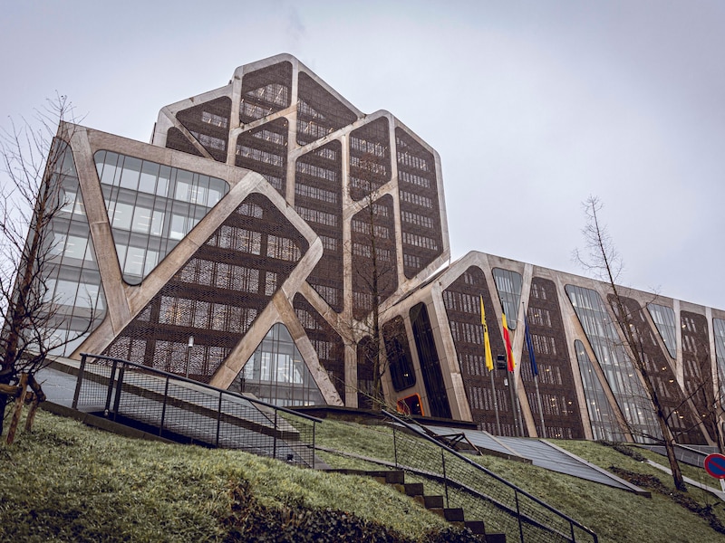 Rechtbank van Eerste Aanleg Limburg, afdeling Hasselt. 