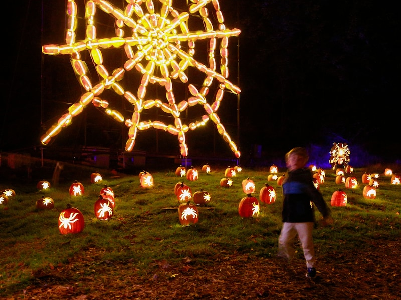 9 spookachtige halloweenactiviteiten in regio Gent die je de stuipen op het lijf jagen