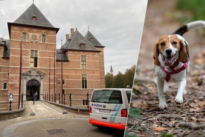 Hoe Volledig Ouderlijk Gezag Eisen? - Bewezen overspel: wat te doen met het bewijs - Prive detective inhuren - DB Investigations thumbnail