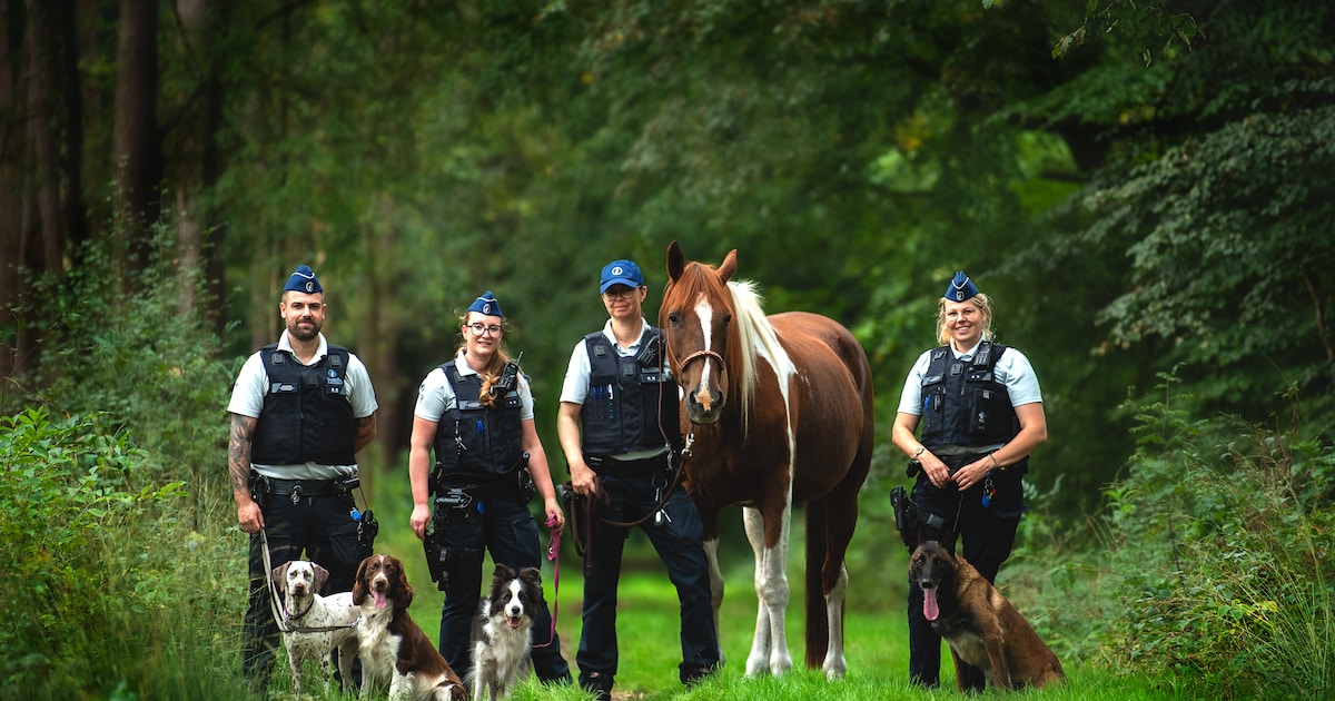 Gestart met twee inspecteurs, nu waakt een ploeg van vier over dieren in de Voorkempen