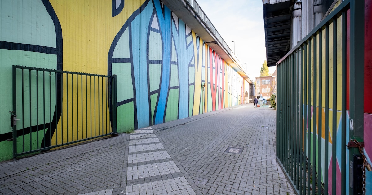 Dertiger neemt man in wurggreep nadat minderjarige pedojagers hem in de val lokken in Mechelen