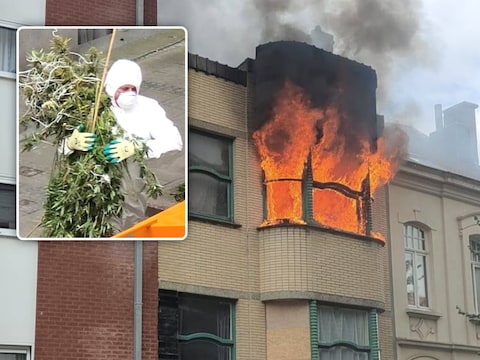 De cannabisplantage werd ontdekt na een zware brand in de Kaaistraat in Oostende, in juli 2024.