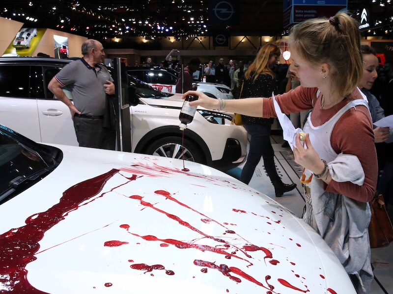 Autosector niet te spreken over klimaatacties op Autosalon: “Hier stonden nooit méér hybride en elektrische voertuigen”