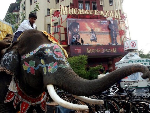 Een olifant op straat in Mumbai.