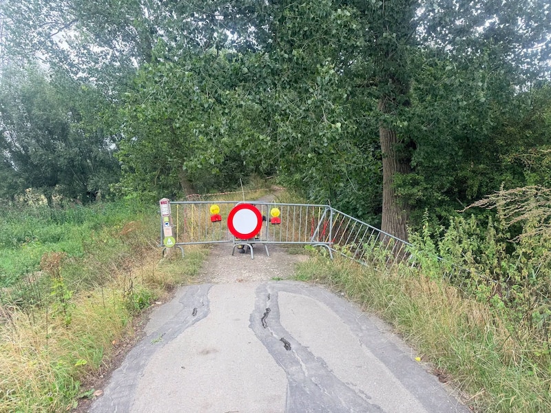 Broeklei tijdelijk afgesloten voor wandelaars: boom dreigt om te vallen