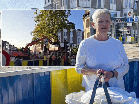 De elf omstreden bomen aan de Gitschotellei in Deurne zijn maandagochtend alsnog gekapt. Inzet: buurtbewoonster Ann Rosiers, die de gebrekkige communicatie van de stad hekelt.