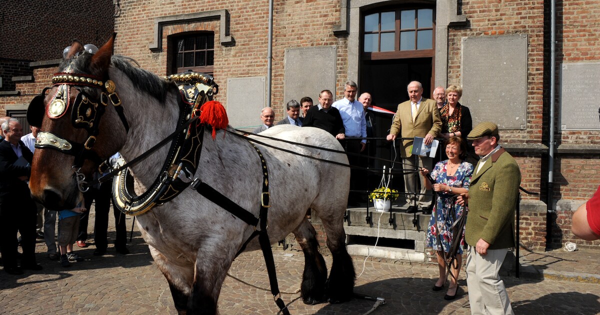 heel-wat-te-beleven-in-galmaarden-tijdens-open-monumentendag