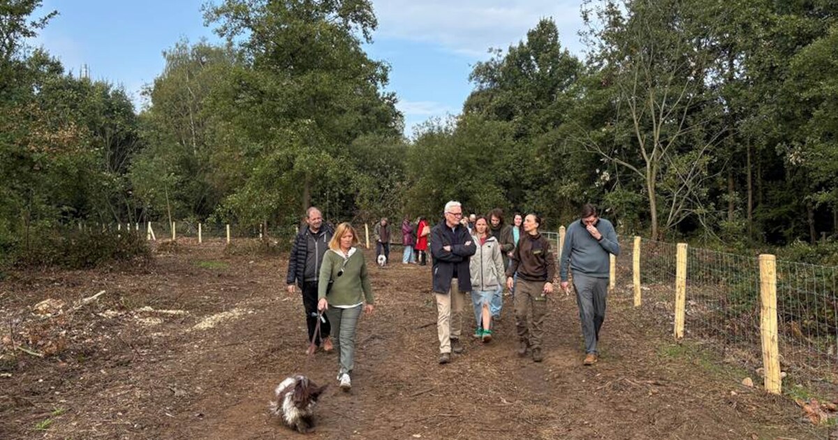 Grote hondenloopzone ‘De Fort’ in Itegem officieel geopend: “Er is zelfs een hondenzwemvijver voorzi