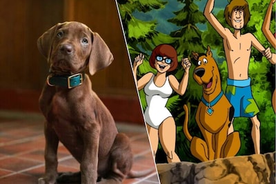 Scooby-Doo wordt plots een échte puppy in nieuwe N