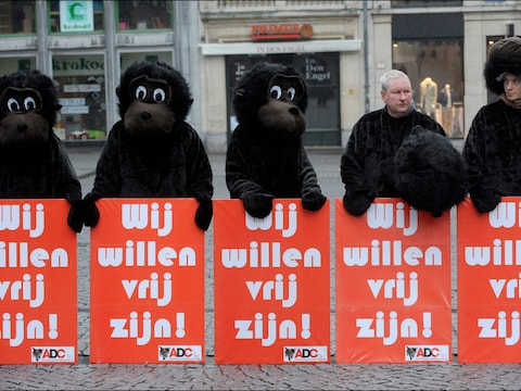 Archiefbeeld van eerder protest door ADC tegen de dierenproeven.