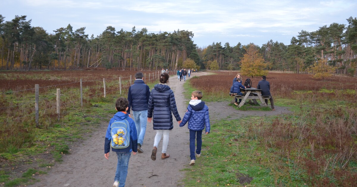 Natuurpunt viert 25 jaar Heidebos met feestweekend | Moerbeke-Waas | HLN.be