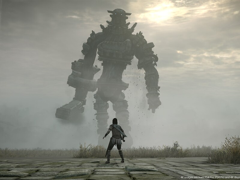 Shadow of the Colossus.