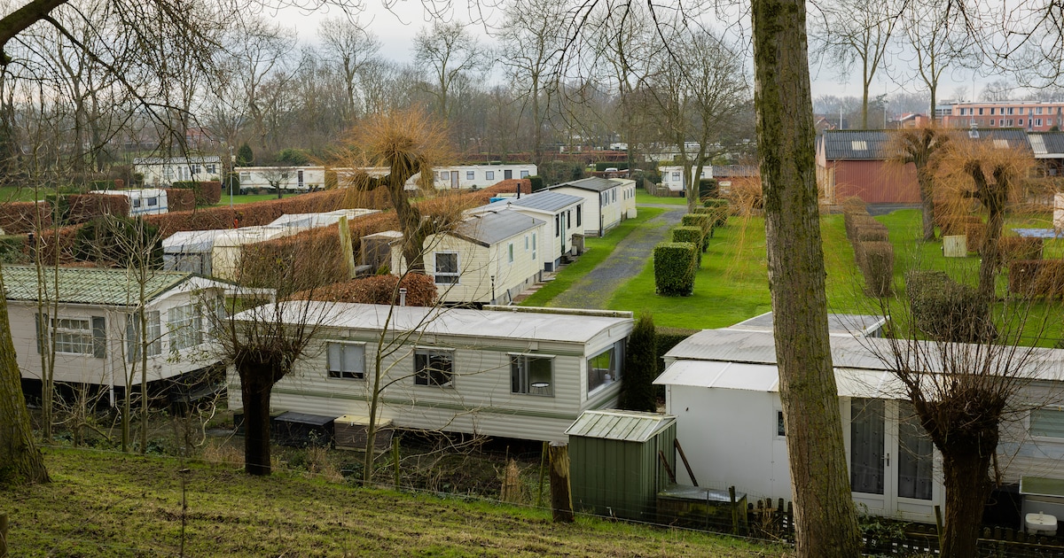 Dit Amsterdamse bedrijf neemt Sluise campings over en plaatst 185 chalets