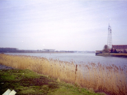 De Schelde bij de Rupelmonding blijft een van de meest ontwrichte ecosystemen ter wereld.