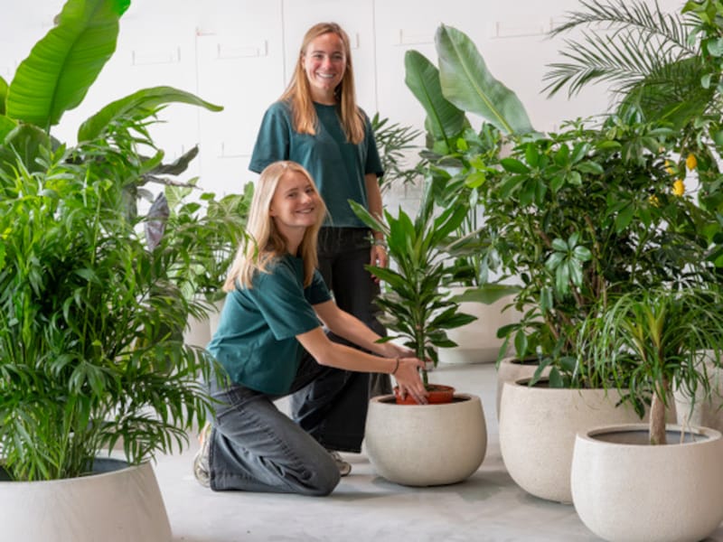 Pop-up Plants Market keert terug naar loods van De Bond in Brugge