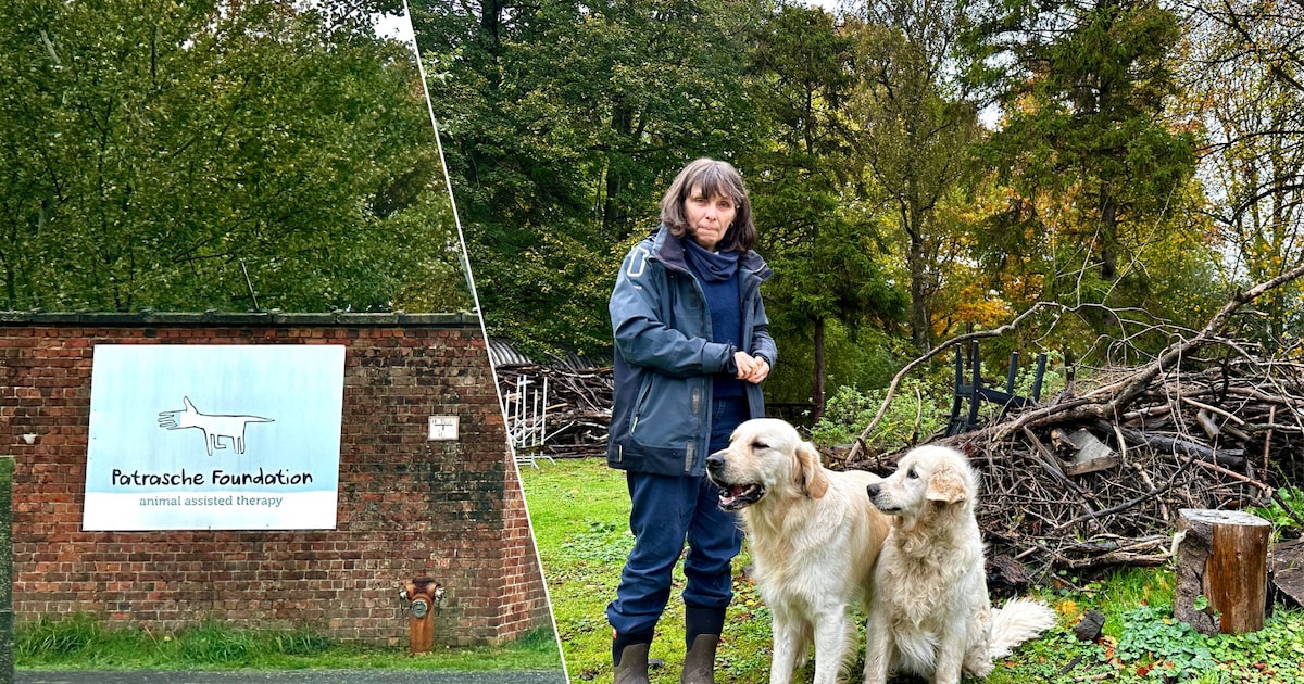 Alle ogen op stad Gent: blijft vzw Patrasche jongeren helpen of moet ...