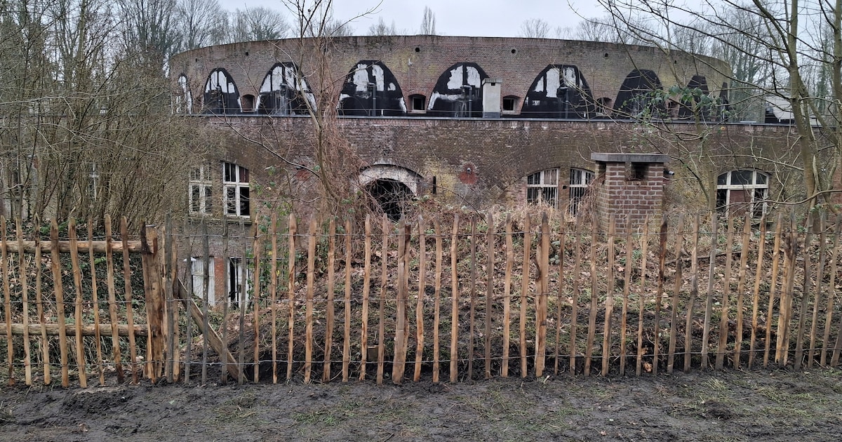 Stad Mortsel zoekt nieuw ontwerpteam om restauratie en herbestemming Fort 4 mee te begeleiden