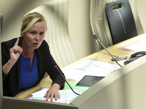 Bevoegd minister Homans in het Vlaams parlement.
