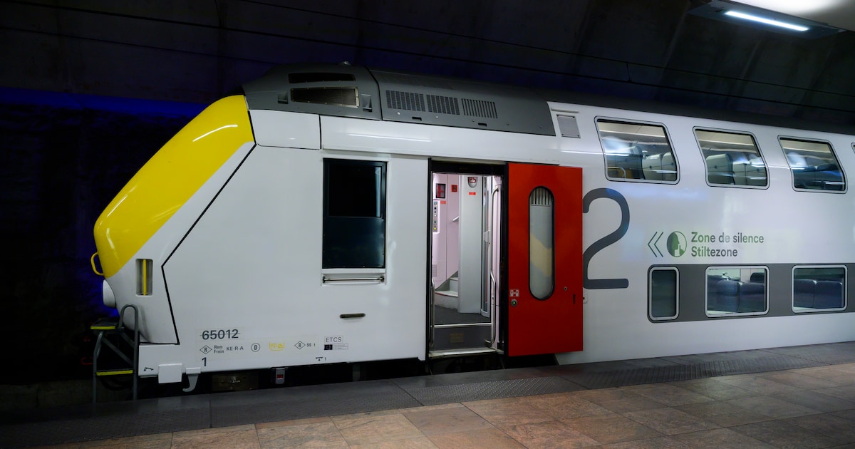 Wissels té goed ingesmeerd: treinverkeer van Antwerpen naar Mechelen en Brussel draait volledig in d