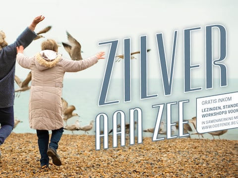Zilver aan Zee