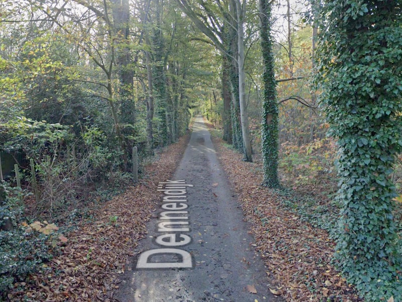 De Dennendijk in Westmeerbeek (Hulshout).