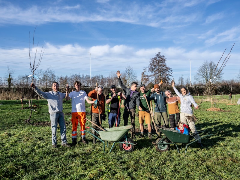 Wat te doen in Dendermonde en het Waasland dit weekend? Van krachtbalfeest tot Pomp-It Festival