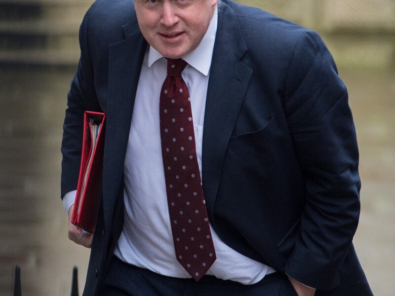 De Britse buitenlandminister Boris Johnson, geboren in New York, had zowel de Britse als de Amerikaanse nationaliteit.