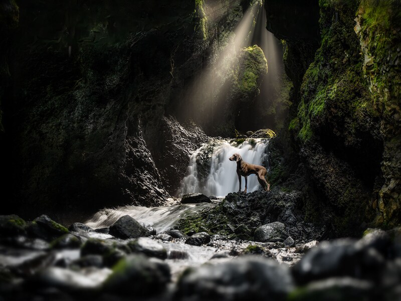 Fotograaf Marc Vandijck uit Bree scoort meerdere ereplaatsen op Belgian Photo Awards