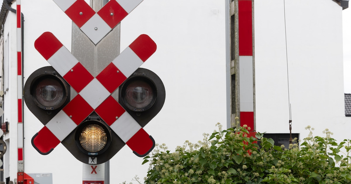 Gepensioneerde voor rechter na gevaarlijke overwegstunt: “Uw leven toevertrouwen aan Belgische trein