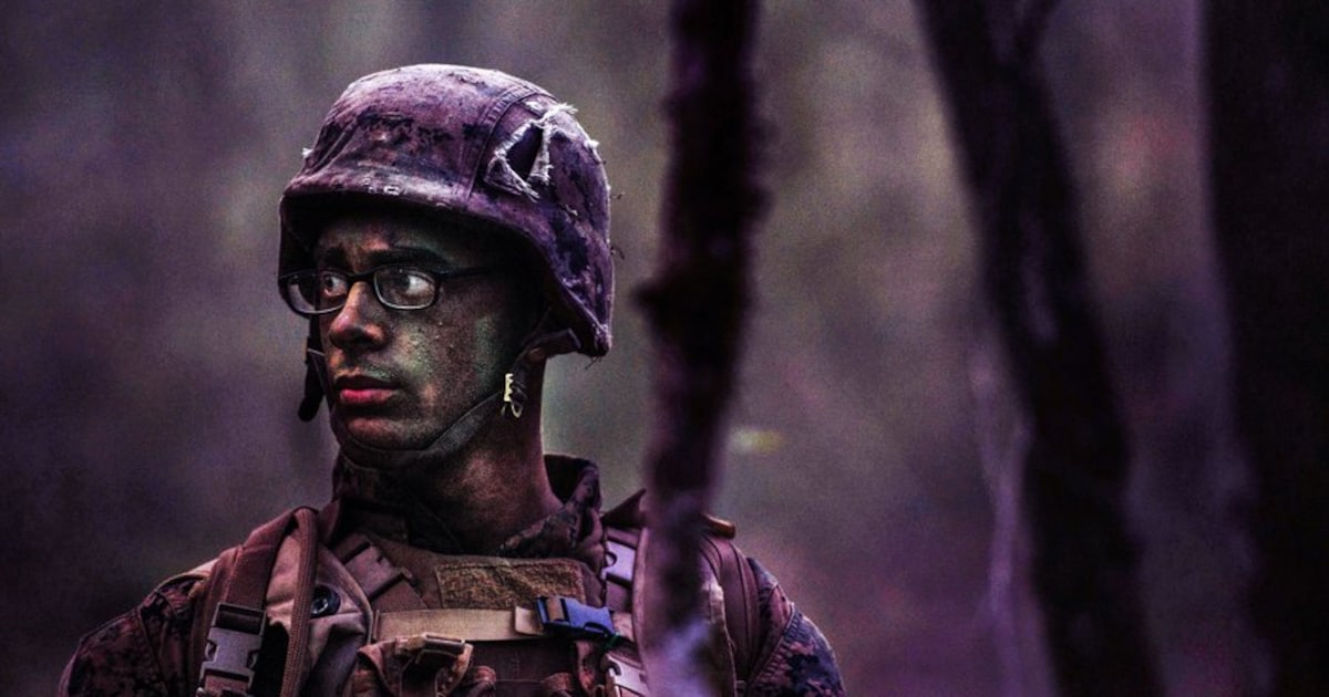 Amerikaans leger betaalde 5 miljard dollar voor camouflage die niet ...